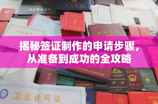 溪州揭秘签证制作的申请步骤，从准备到成功的全攻略