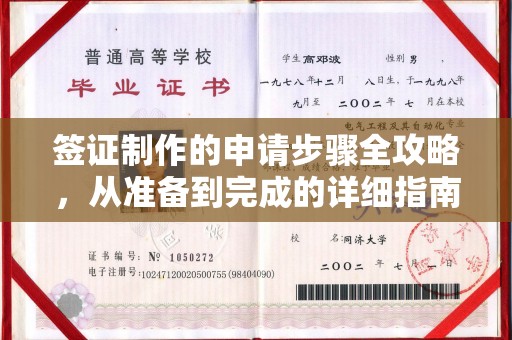 溪州签证制作的申请步骤全攻略，从准备到完成的详细指南
